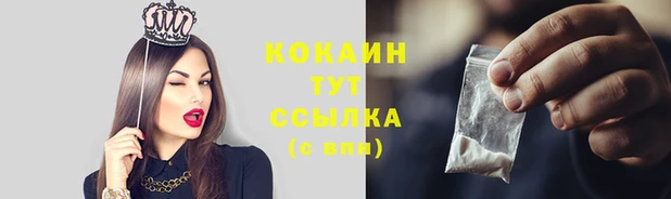 мяу мяу мука Абдулино