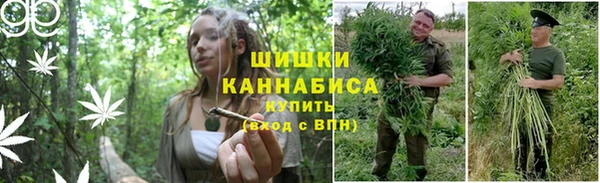 а пвп мука Абаза
